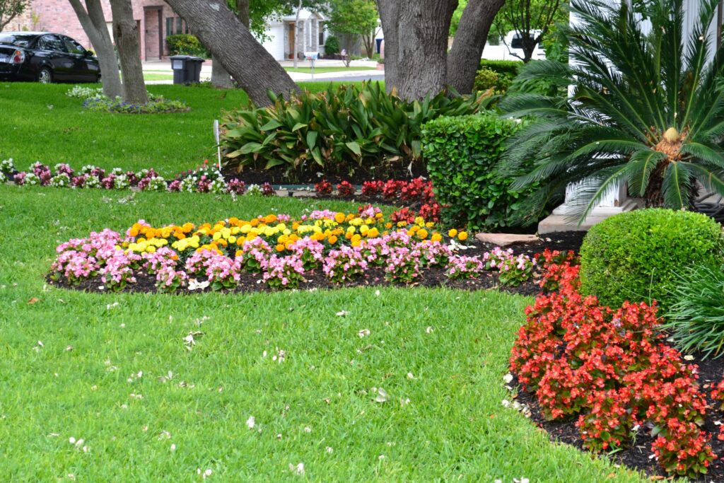 professional landscape san antonio